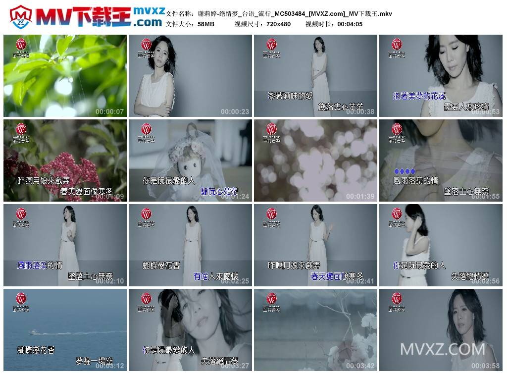 谢莉婷-绝情梦_台语_流行_MC503484